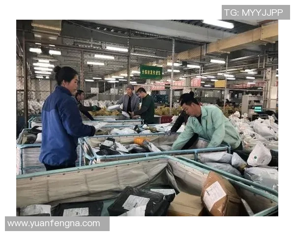 与王娜畅谈DOTA2职业生涯中的挑战与成就