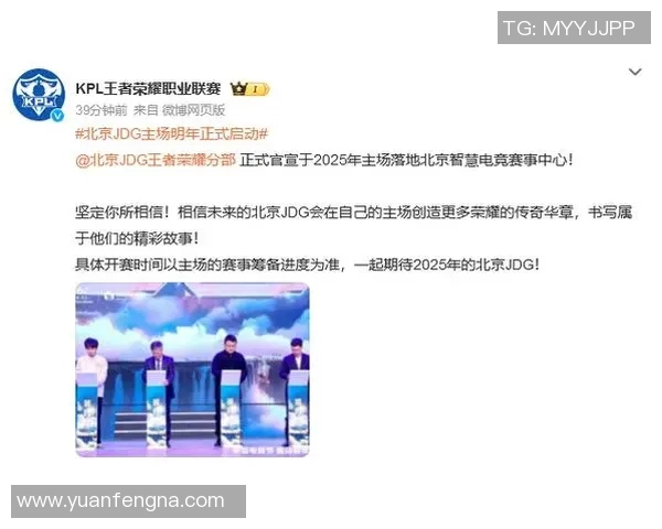 王者荣耀巨献揭秘JDG战队灵活战术与应变能力的深度分析