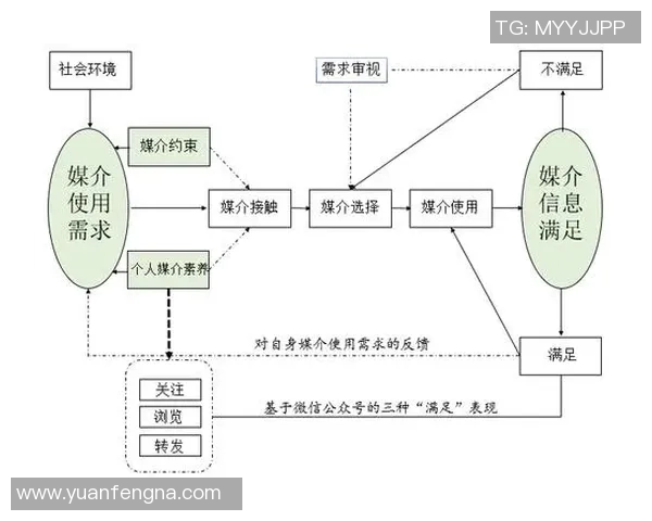 独家解析WE意识形态的异同与影响力深度对比分析