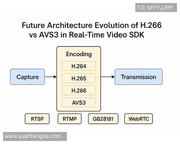 专访赵敏揭秘和平精英成功秘诀与未来发展战略实时数据